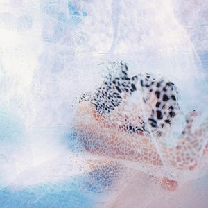 真实㓜交videos视频
